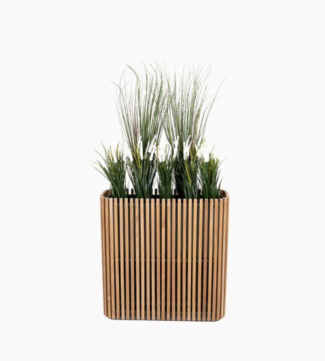 Cube Space Dividing Planter with Plants 1 H_f9_4x5
